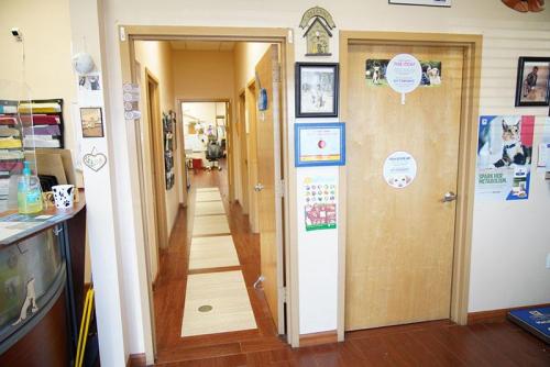 image11